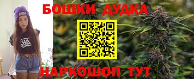 марки lsd Будённовск