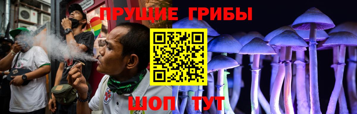 Псилоцибиновые грибы Psilocybe  Псилоцибиновые грибы прущие грибы  Вход с VPN  Прохладный 